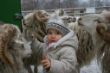 Bild 209.jpg